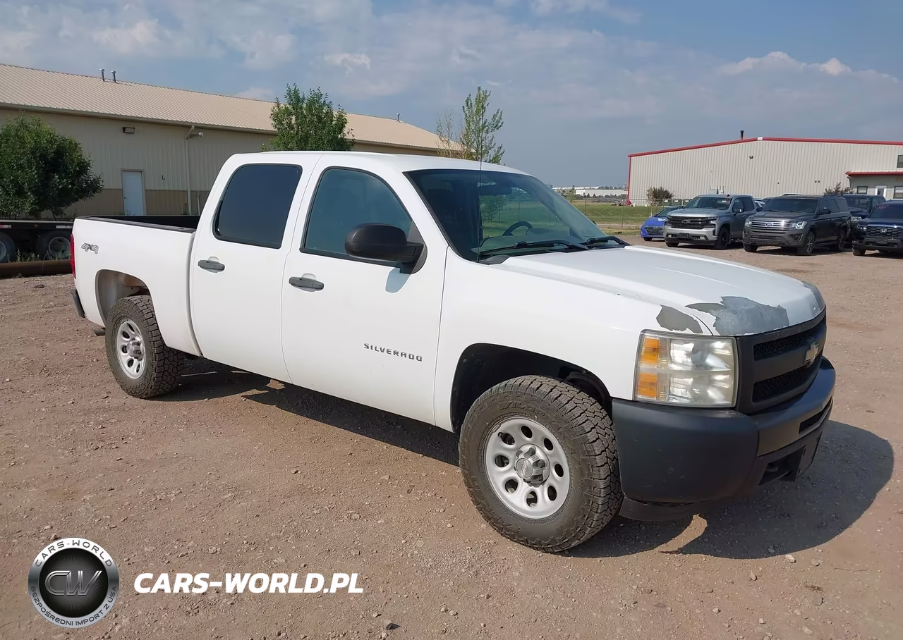 2010 Chevrolet Silverado 1500 Work Truck – zdjęcie 1 z 16