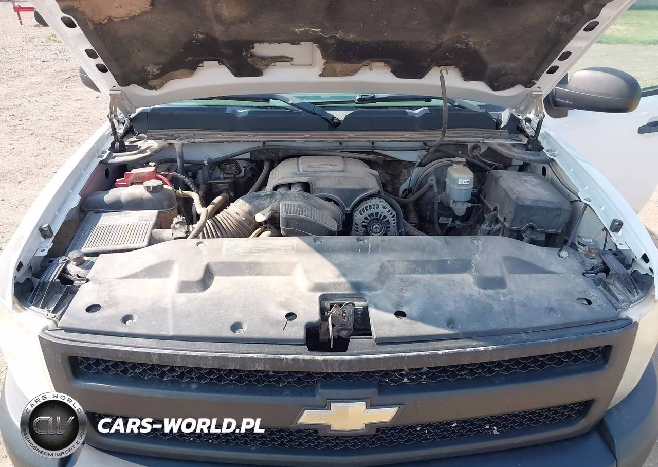2010 Chevrolet Silverado 1500 Work Truck VIN:3GCRKPE34AG112309 - 10
