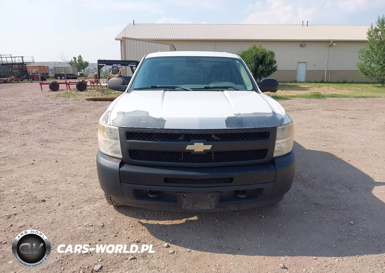 2010 Chevrolet Silverado 1500 Work Truck VIN:3GCRKPE34AG112309 - 12