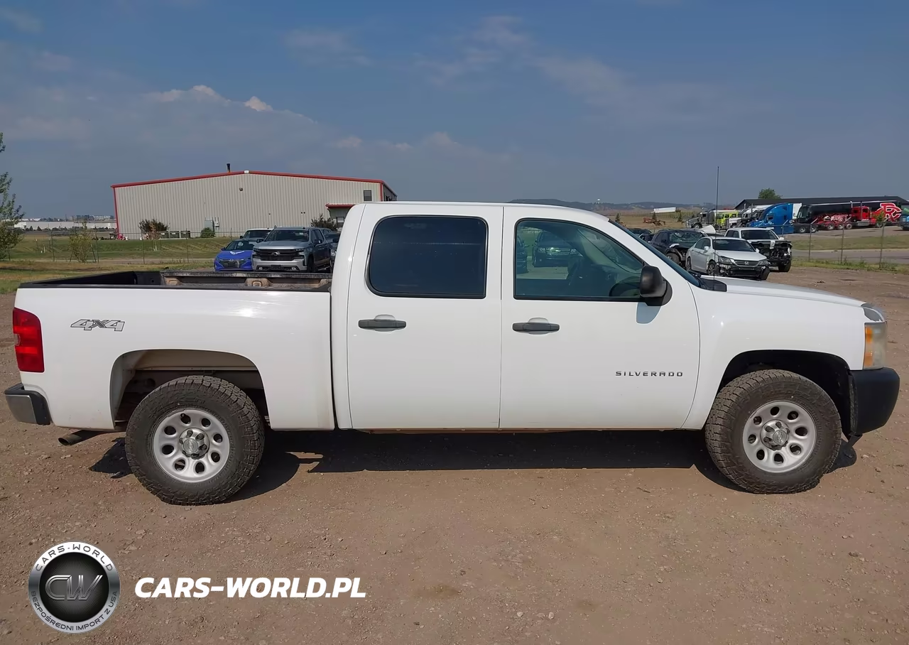 2010 Chevrolet Silverado 1500 Work Truck VIN:3GCRKPE34AG112309 - 13