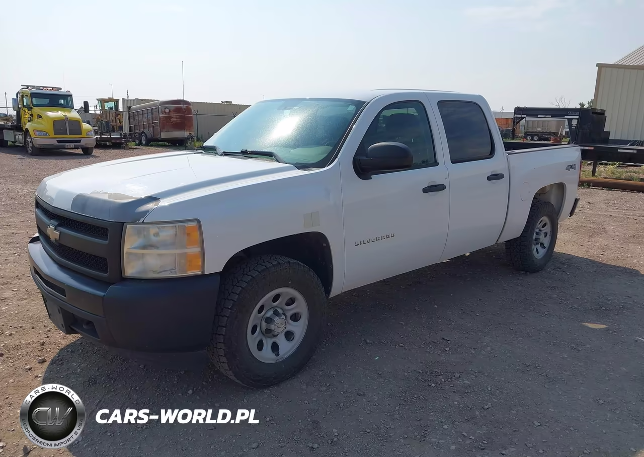 2010 Chevrolet Silverado 1500 Work Truck VIN:3GCRKPE34AG112309 - 2