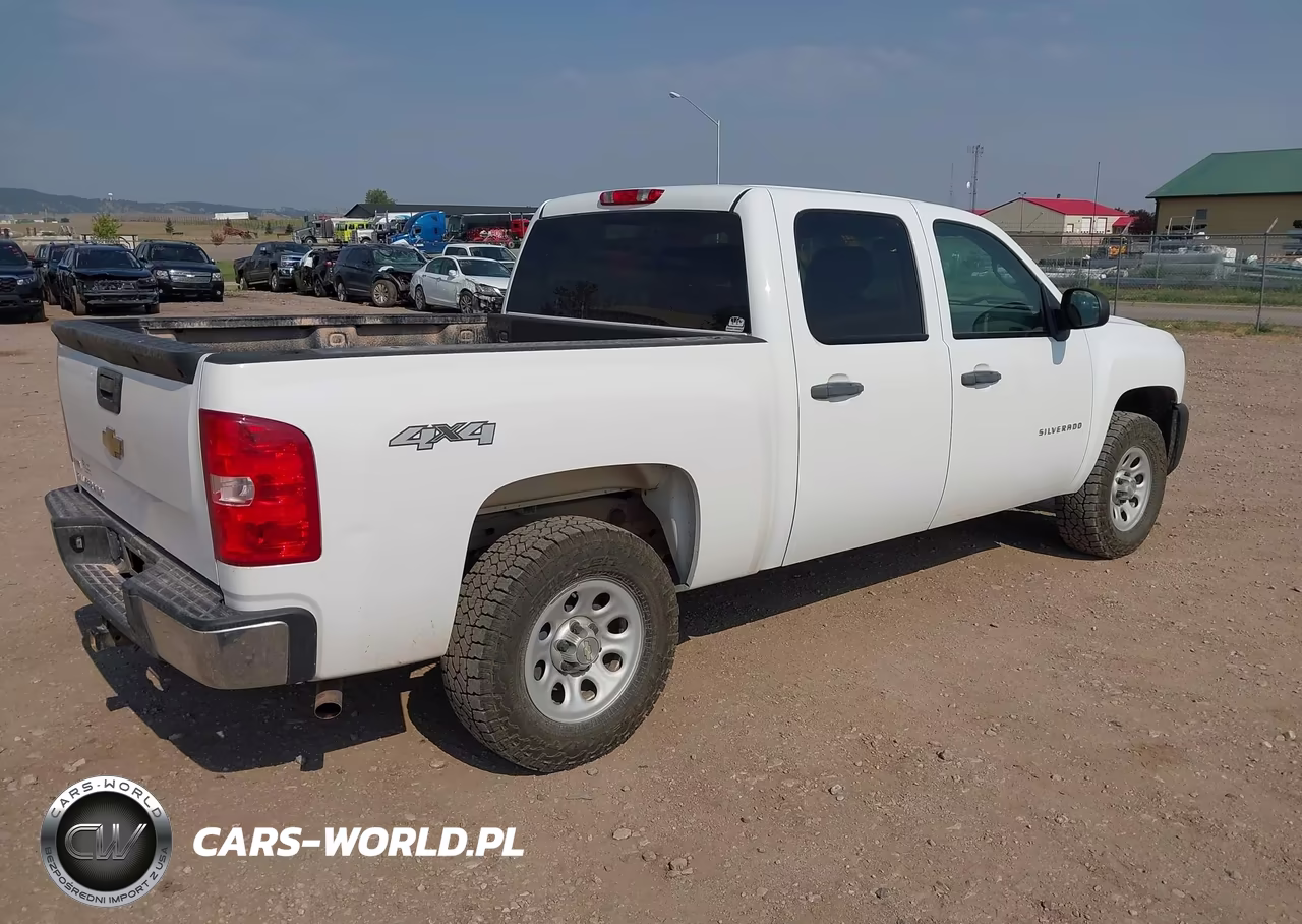 2010 Chevrolet Silverado 1500 Work Truck VIN:3GCRKPE34AG112309 - 4