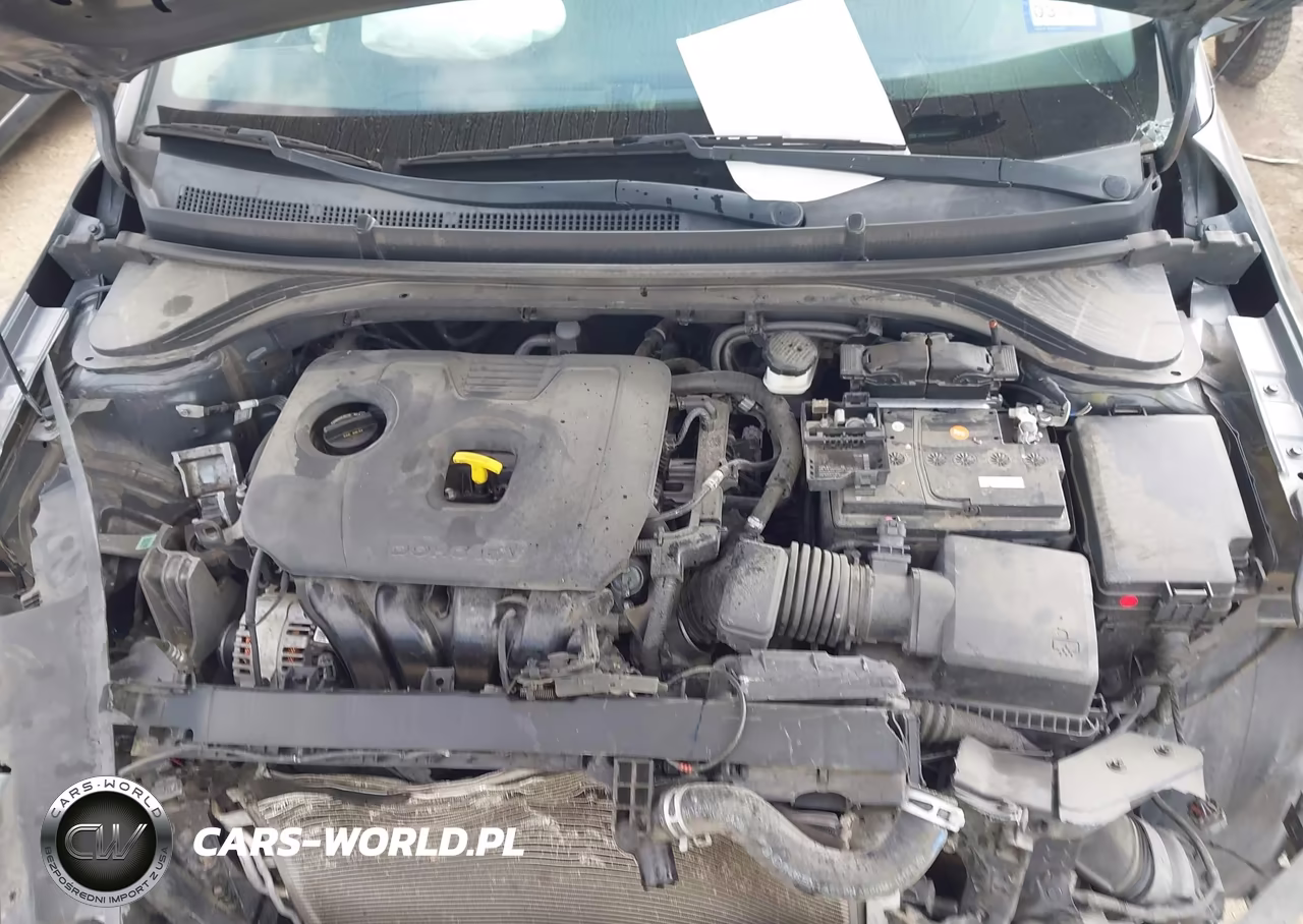 2020 Hyundai Elantra Se VIN:5NPD74LF6LH524247 - 10