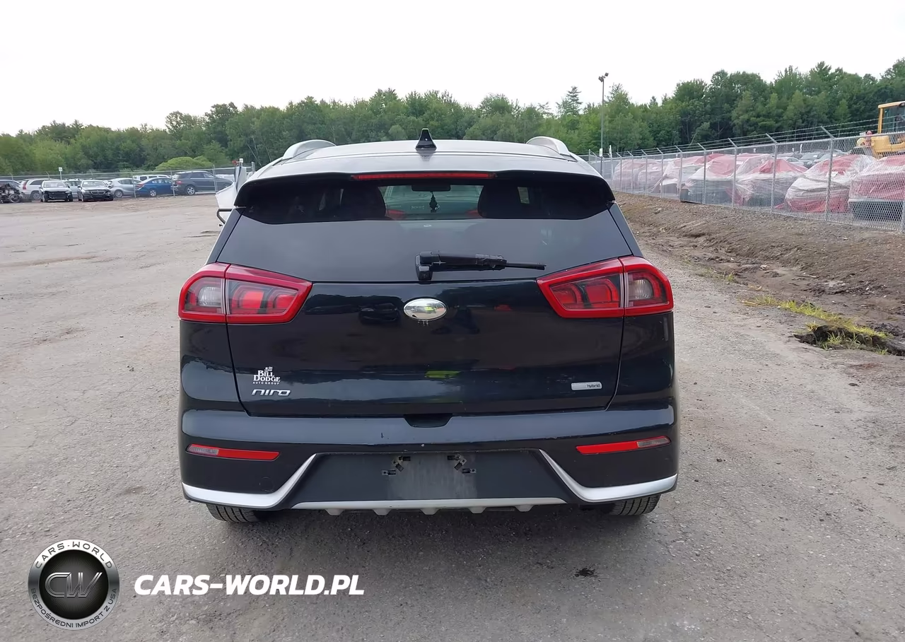 2019 Kia Niro Lx VIN:KNDCB3LC8K5249327 - 16