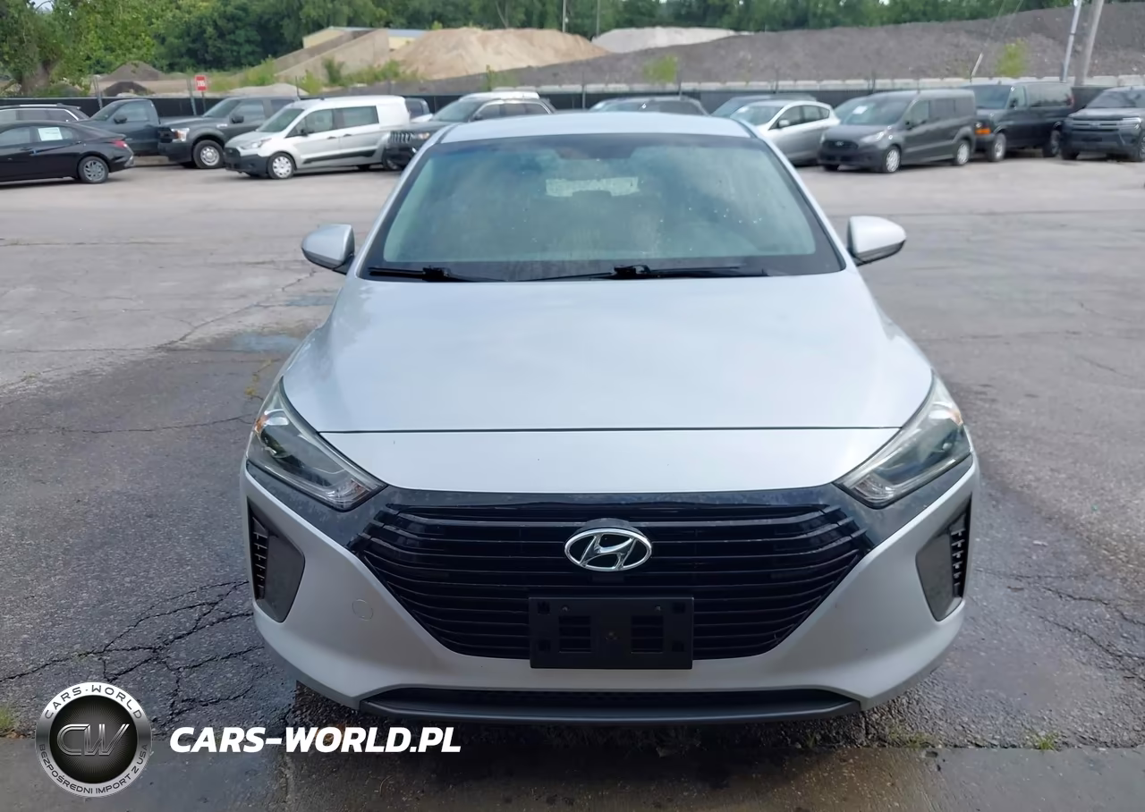 2019 Hyundai Ioniq Hybrid Blue VIN:KMHC65LC9KU106887 - 17