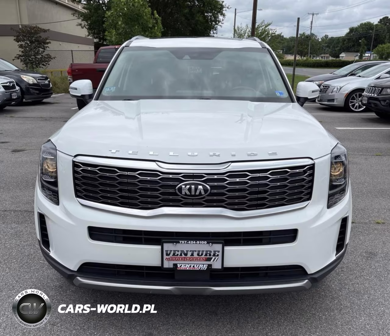 2020 Kia Telluride Ex VIN:5XYP3DHCXLG012960 - 11