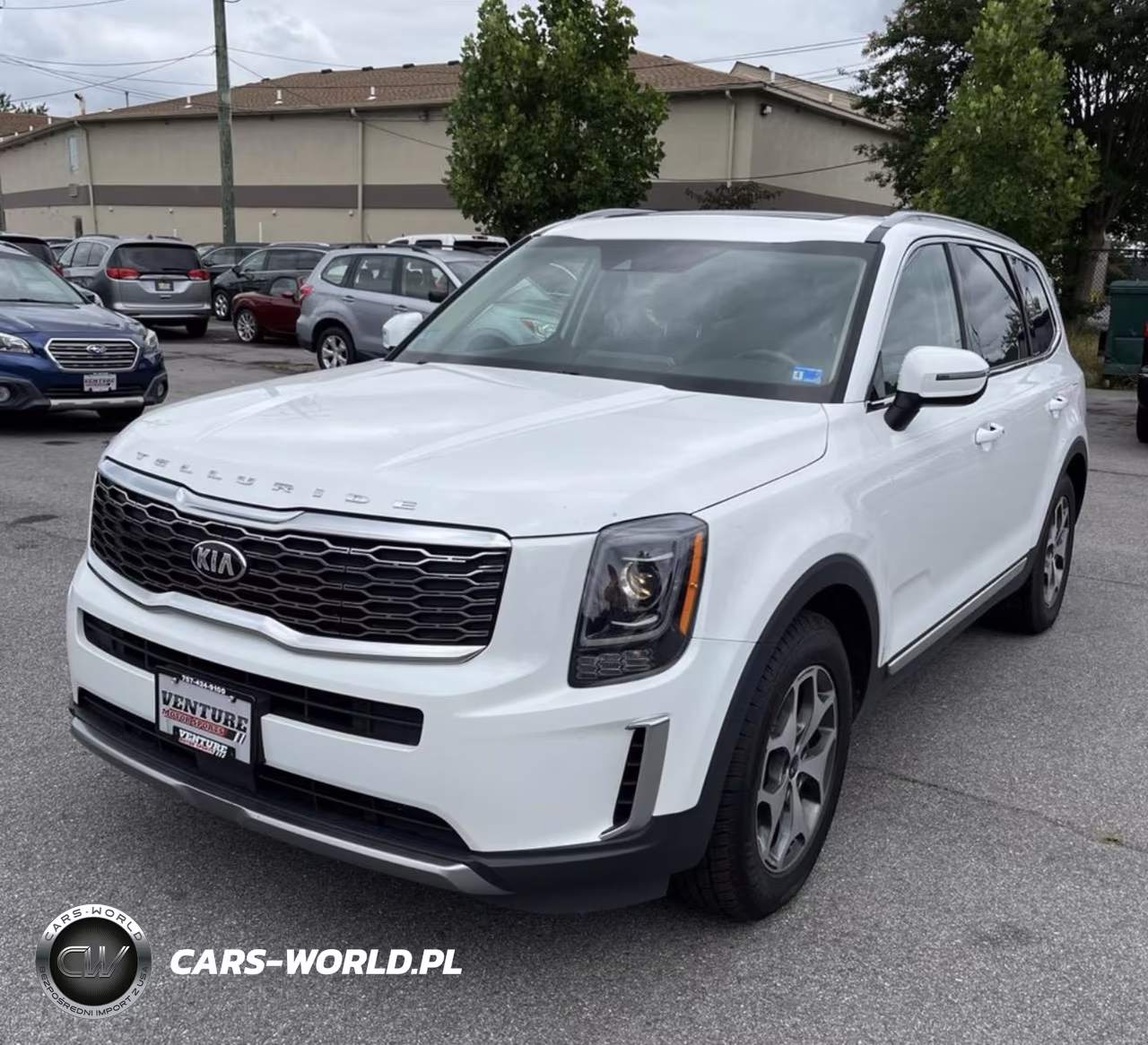 2020 Kia Telluride Ex VIN:5XYP3DHCXLG012960 - 2