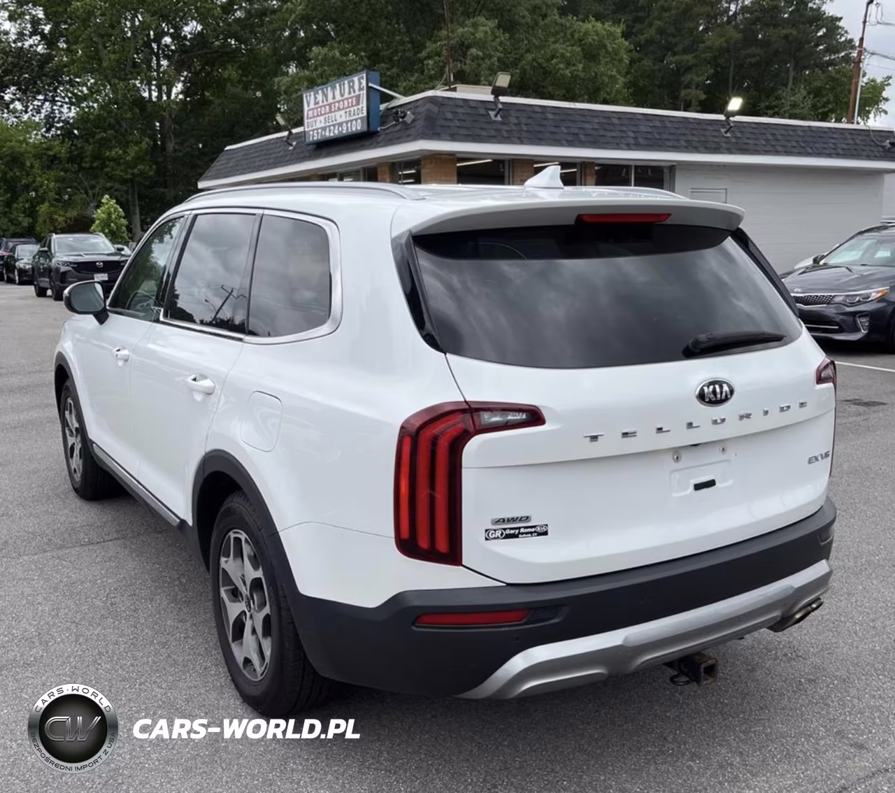 2020 Kia Telluride Ex VIN:5XYP3DHCXLG012960 - 3