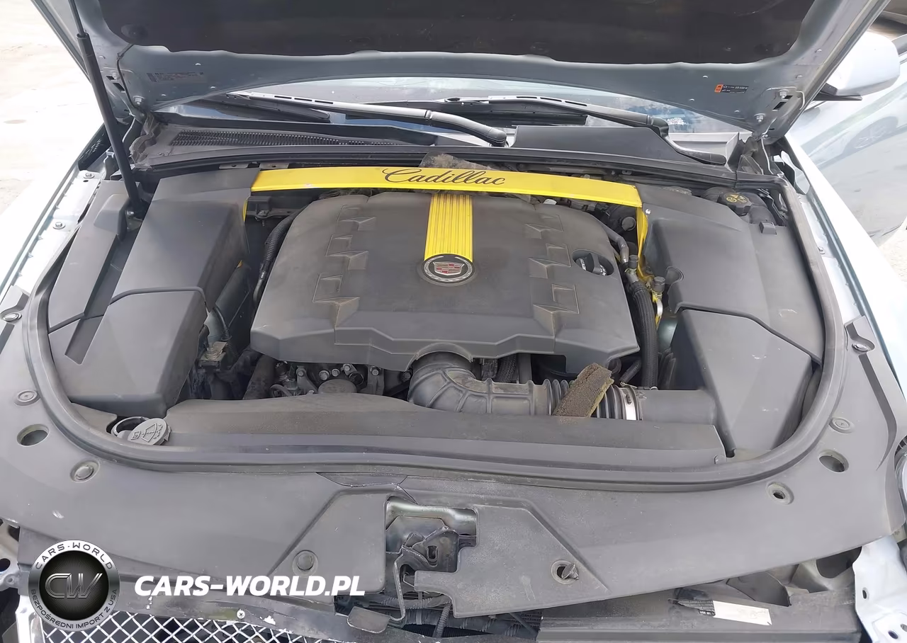 2013 Cadillac Cts Performance VIN:1G6DJ1E3XD0119528 - 10