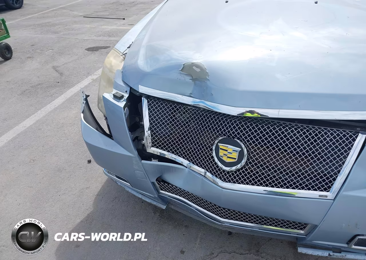 2013 Cadillac Cts Performance VIN:1G6DJ1E3XD0119528 - 12
