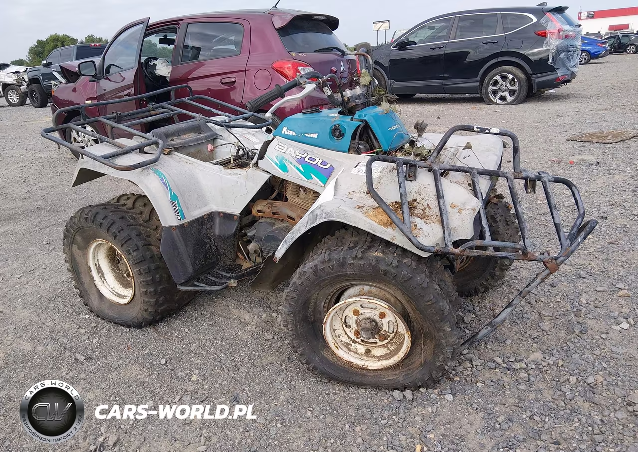 1994 Kawasaki Klf220 – zdjęcie 1 z 12