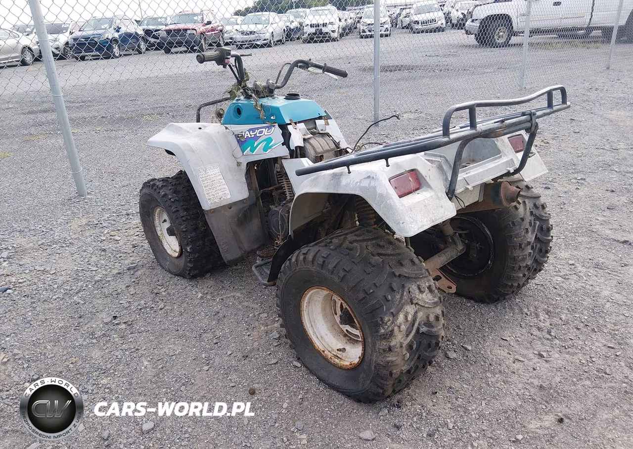 1994 Kawasaki Klf220 VIN:JKBLFBA11RB566710 - 3