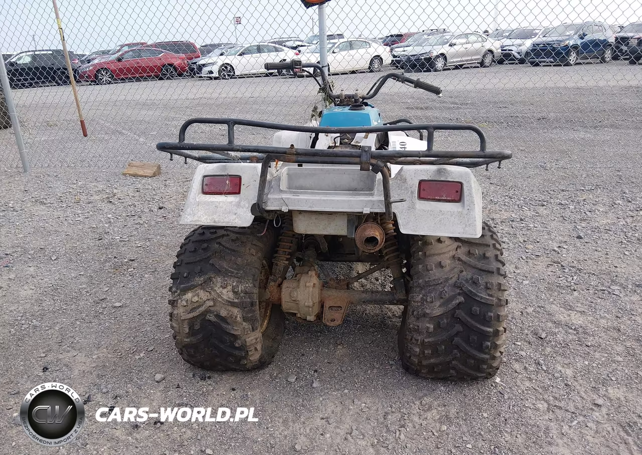 1994 Kawasaki Klf220 VIN:JKBLFBA11RB566710 - 6