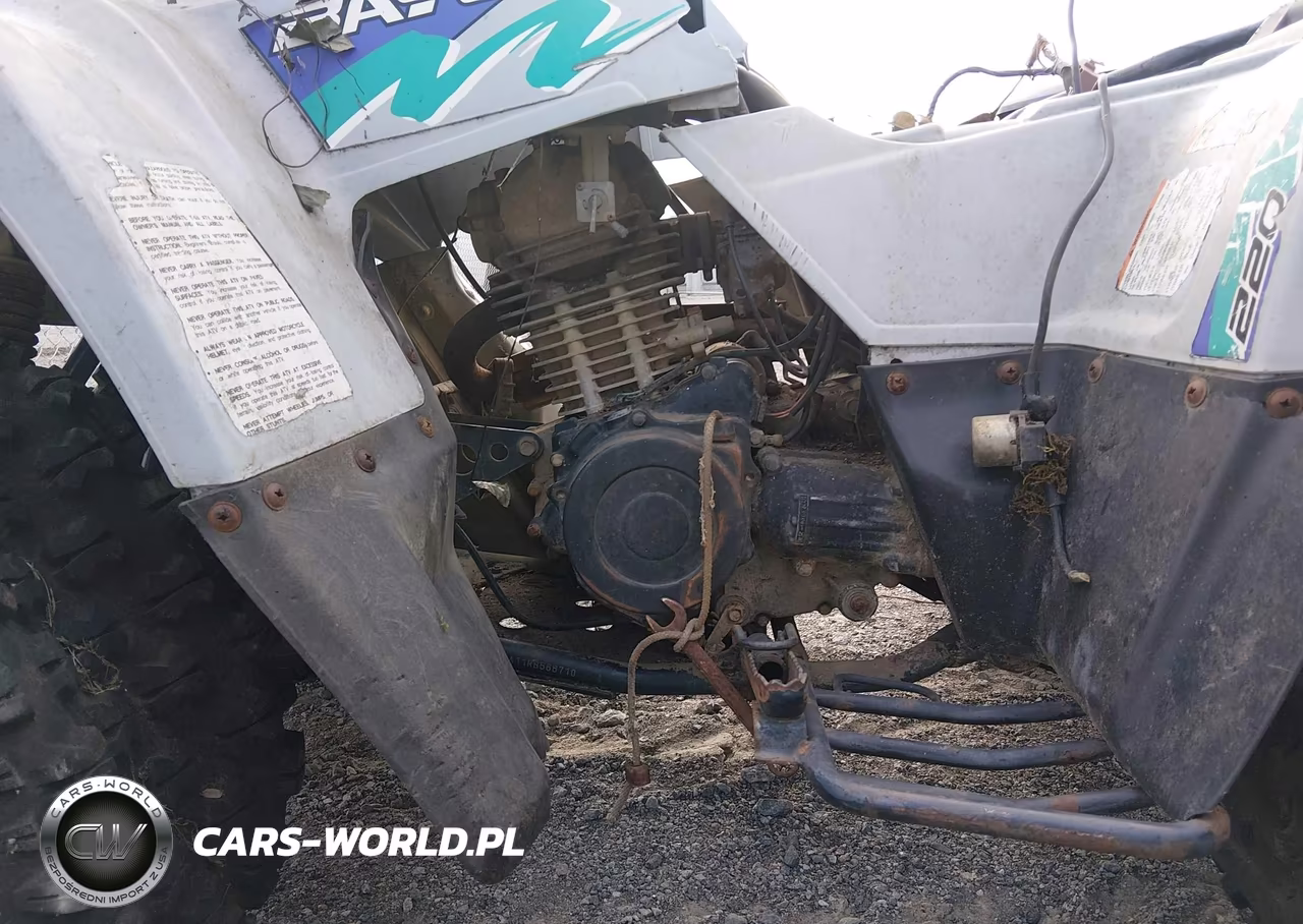 1994 Kawasaki Klf220 VIN:JKBLFBA11RB566710 - 9
