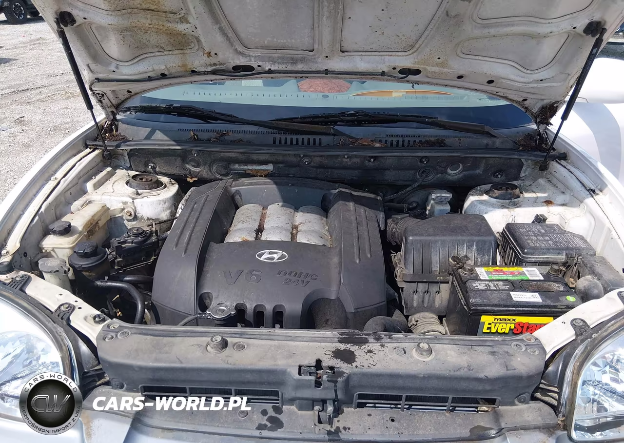 2006 Hyundai Santa Fe Gls VIN:KM8SC13DX6U059381 - 10