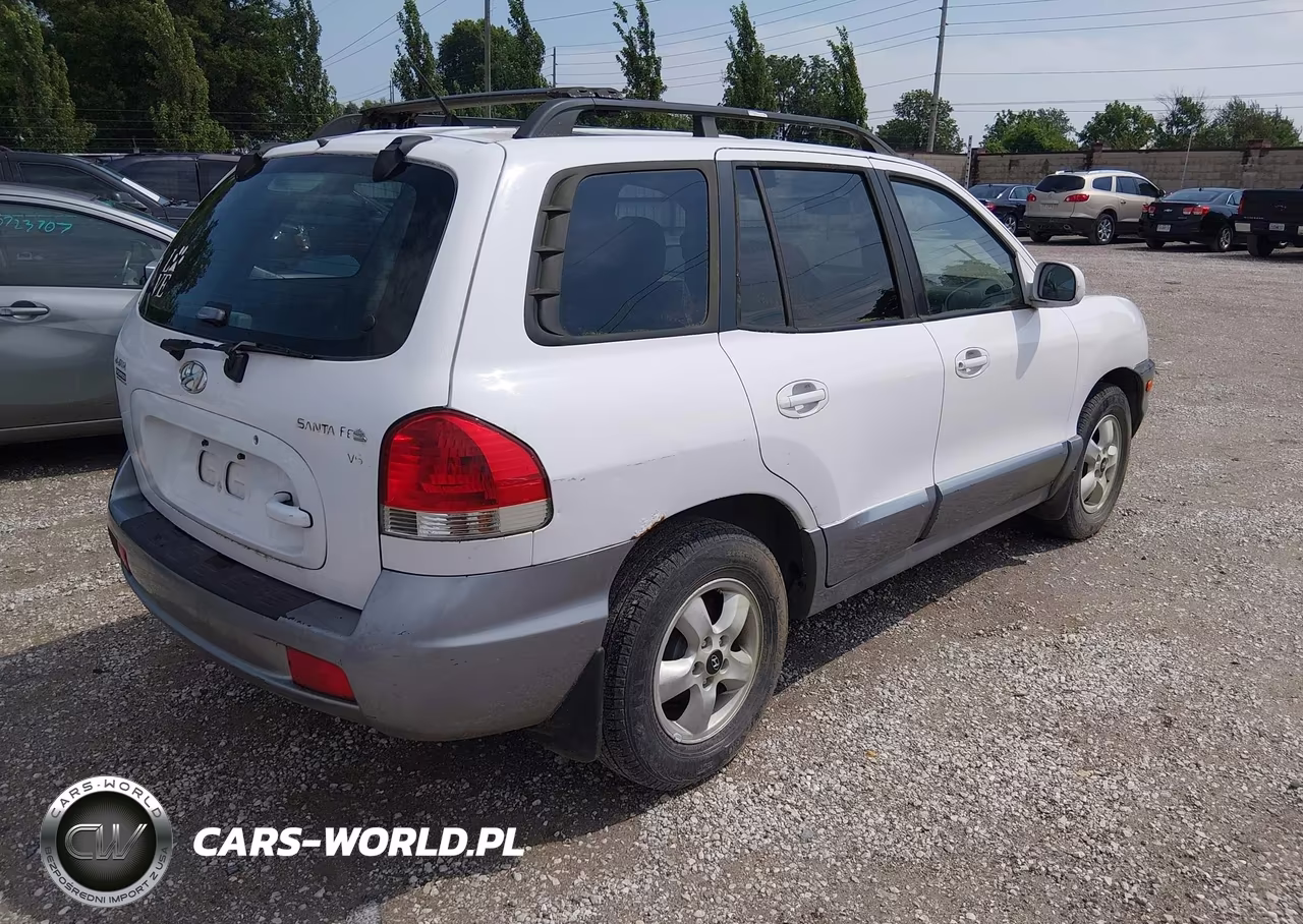 2006 Hyundai Santa Fe Gls VIN:KM8SC13DX6U059381 - 4