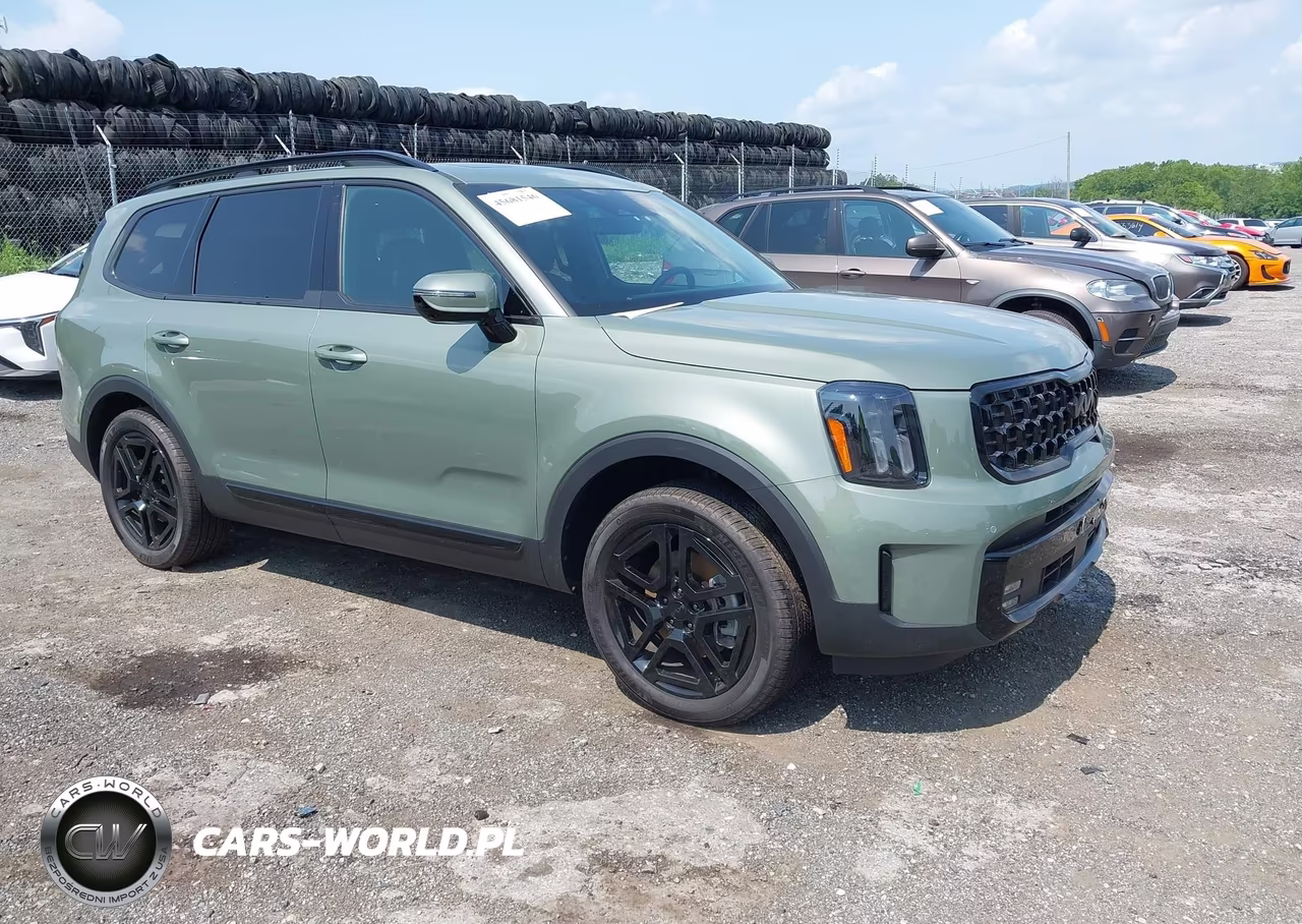 2025 Kia Telluride Sx X-Line VIN:5XYP5DGC6SG640704 - 1