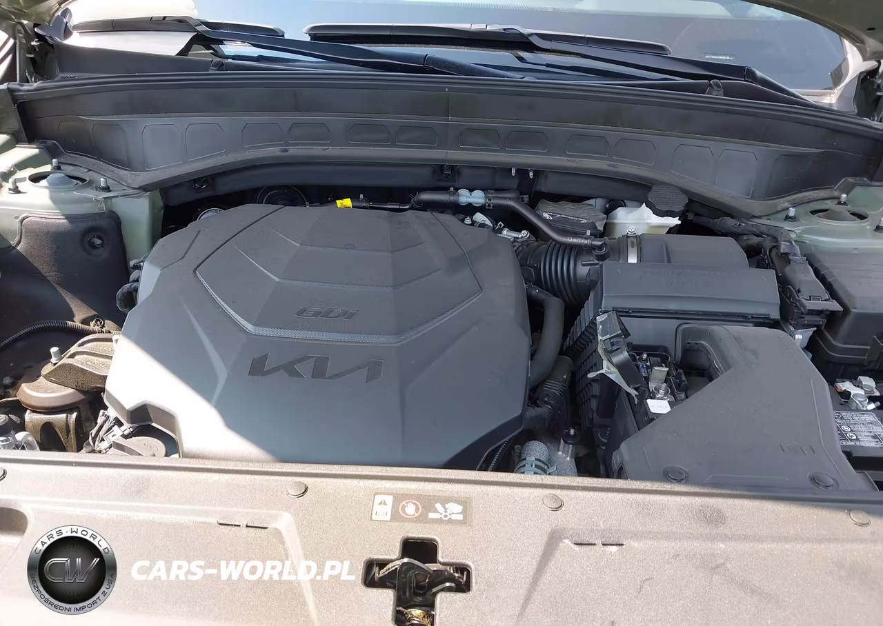 2025 Kia Telluride Sx X-Line VIN:5XYP5DGC6SG640704 - 10