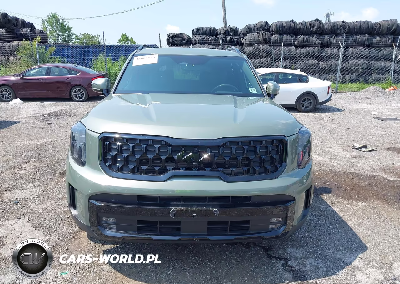 2025 Kia Telluride Sx X-Line VIN:5XYP5DGC6SG640704 - 12