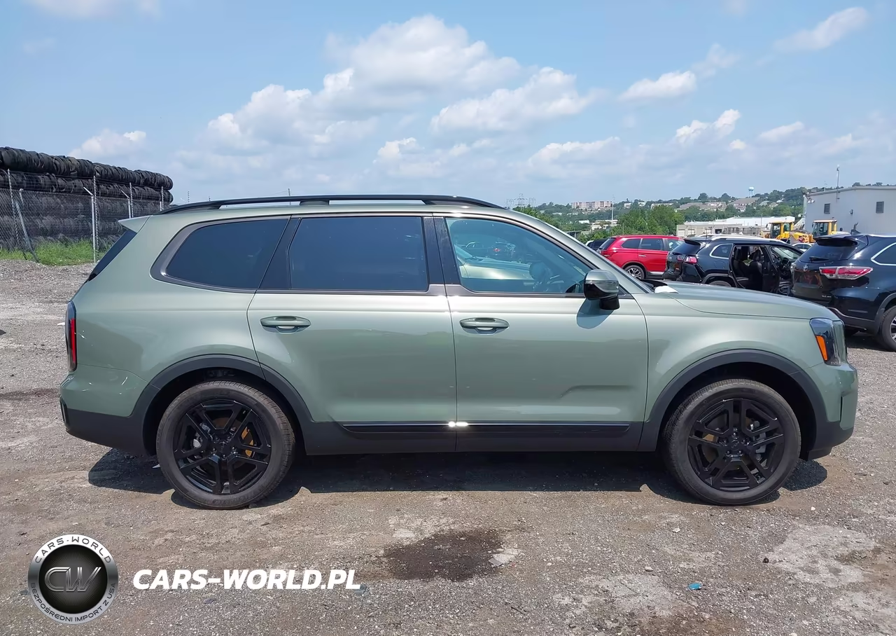 2025 Kia Telluride Sx X-Line VIN:5XYP5DGC6SG640704 - 13