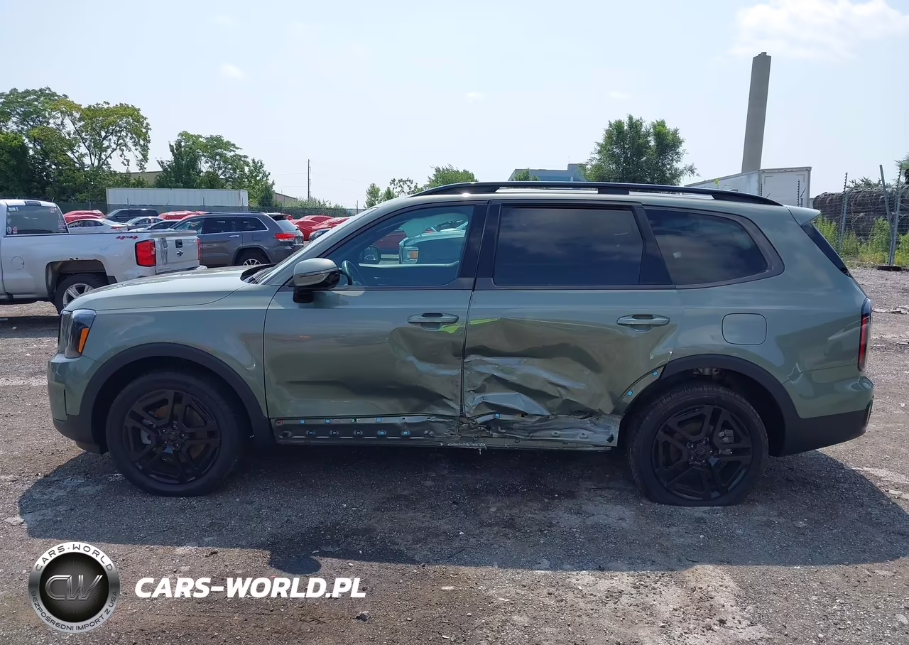 2025 Kia Telluride Sx X-Line VIN:5XYP5DGC6SG640704 - 14