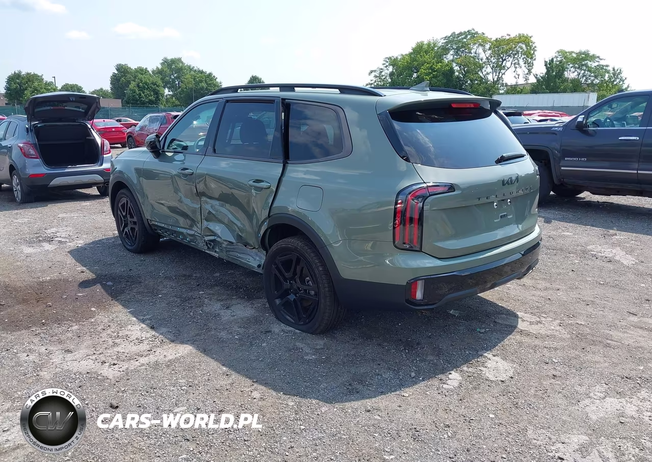 2025 Kia Telluride Sx X-Line VIN:5XYP5DGC6SG640704 - 3