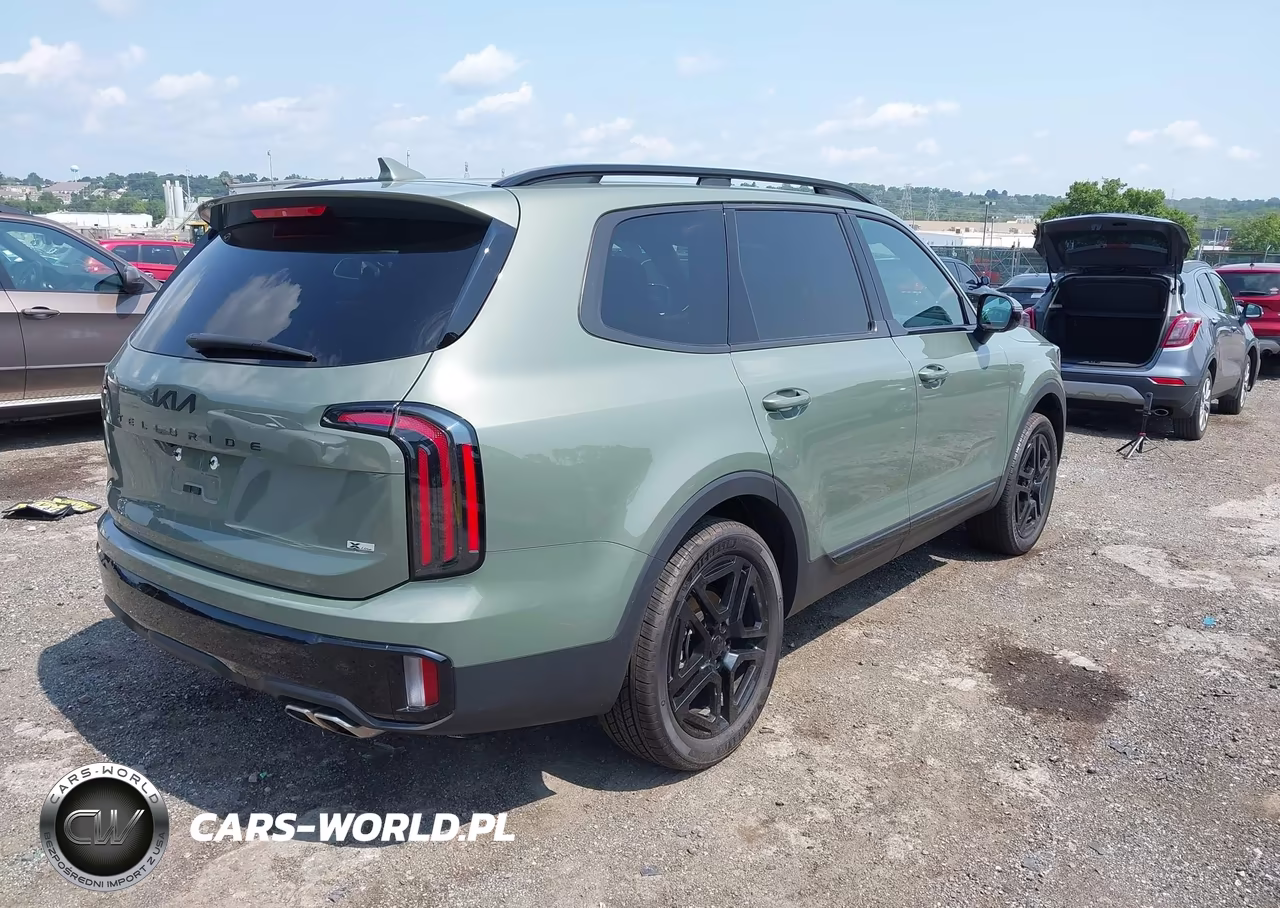 2025 Kia Telluride Sx X-Line VIN:5XYP5DGC6SG640704 - 4