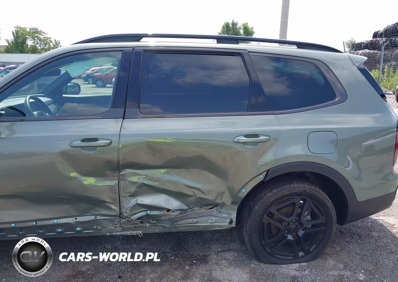 2025 Kia Telluride Sx X-Line VIN:5XYP5DGC6SG640704 - 6