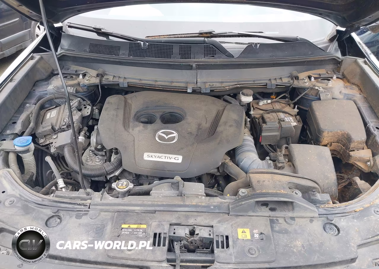 2020 Mazda Cx-9 Grand Touring VIN:JM3TCBDY4L0415107 - 10
