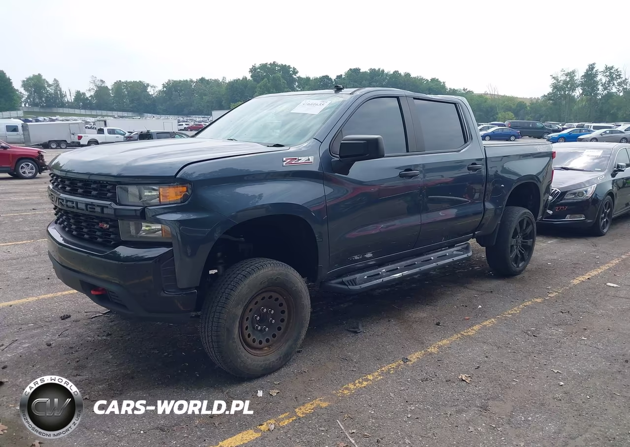 2019 Chevrolet Silverado 1500 Custom Trail Boss VIN:3GCPYCEF2KG142726 - 2