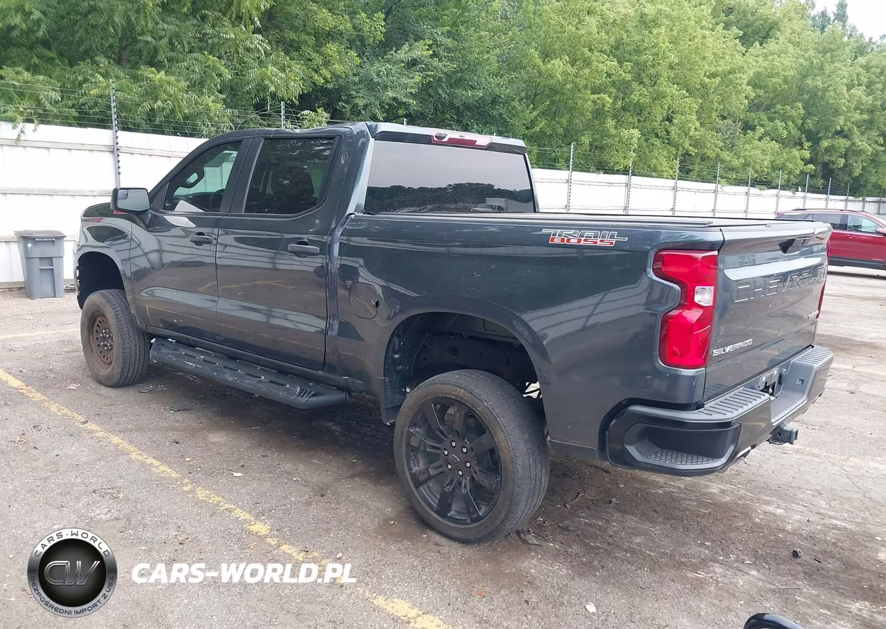2019 Chevrolet Silverado 1500 Custom Trail Boss VIN:3GCPYCEF2KG142726 - 3