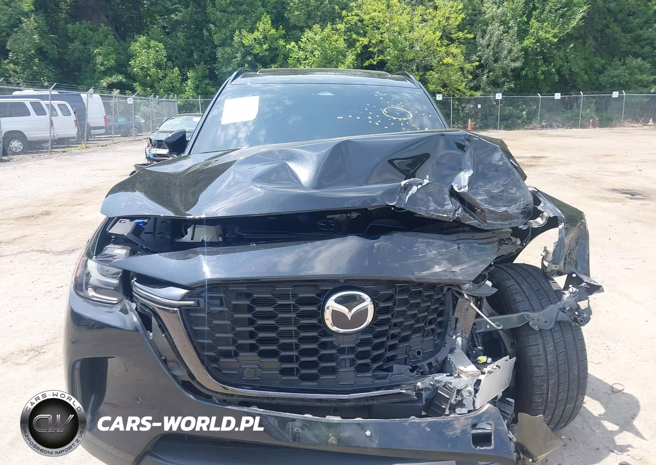 2025 Mazda Cx-90 3.3 Turbo Premium Sport VIN:JM3KKCHDXS1229401 - 12