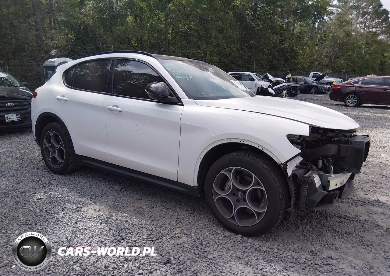 2021 Alfa Romeo Stelvio Awd VIN:ZASPAKAN6M7D06433 - 1