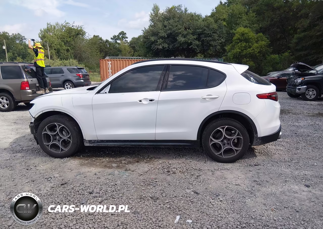 2021 Alfa Romeo Stelvio Awd VIN:ZASPAKAN6M7D06433 - 15