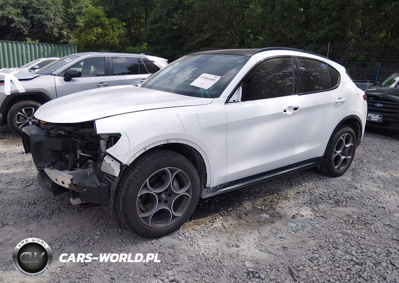 2021 Alfa Romeo Stelvio Awd VIN:ZASPAKAN6M7D06433 - 2