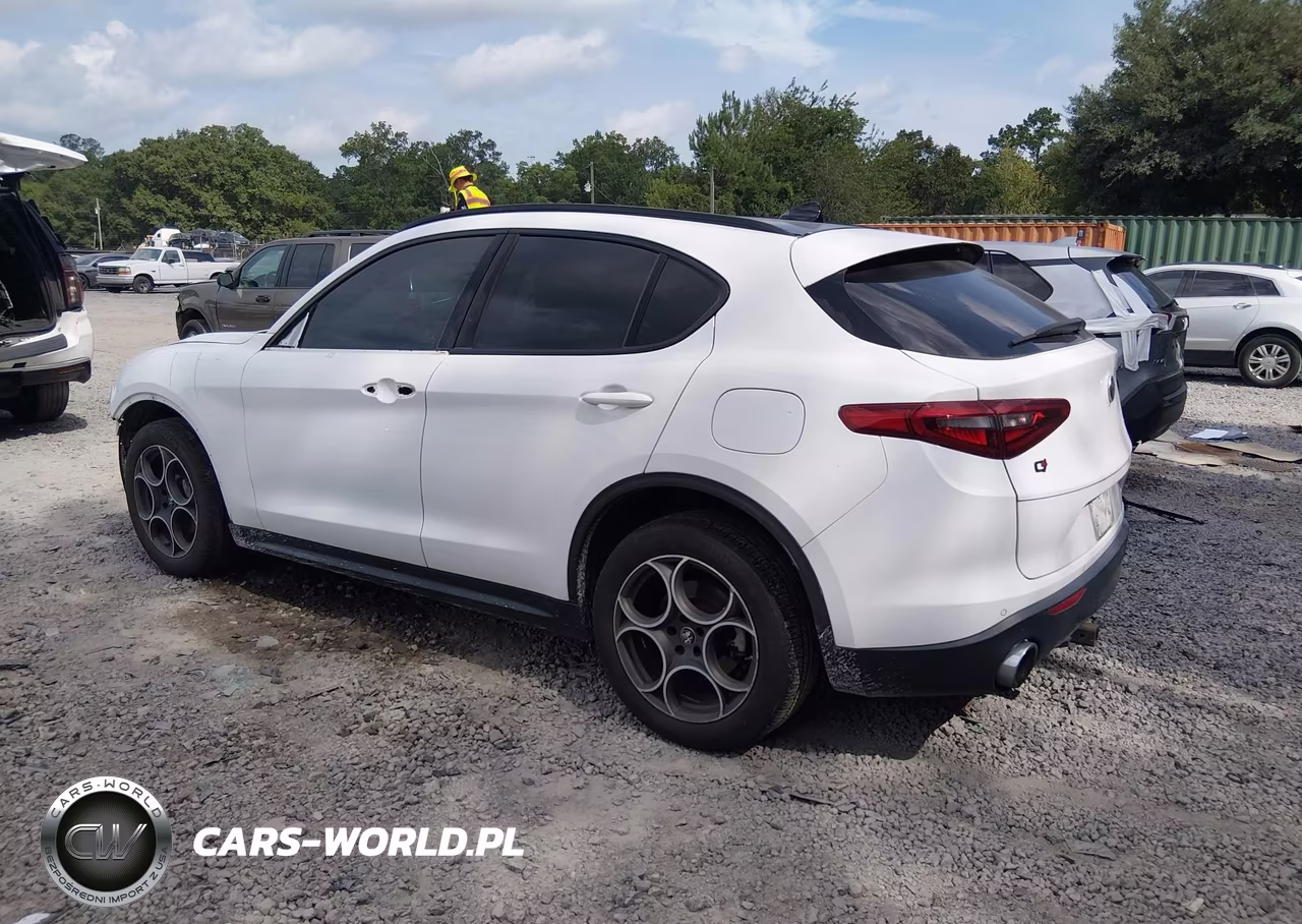 2021 Alfa Romeo Stelvio Awd VIN:ZASPAKAN6M7D06433 - 3