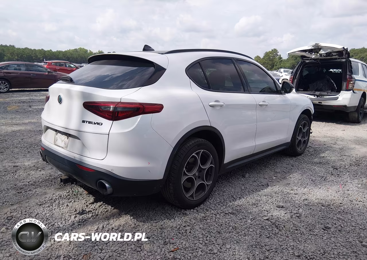 2021 Alfa Romeo Stelvio Awd VIN:ZASPAKAN6M7D06433 - 4