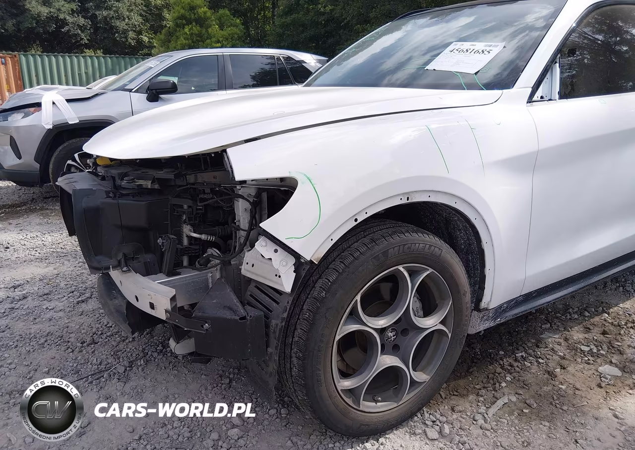 2021 Alfa Romeo Stelvio Awd VIN:ZASPAKAN6M7D06433 - 6
