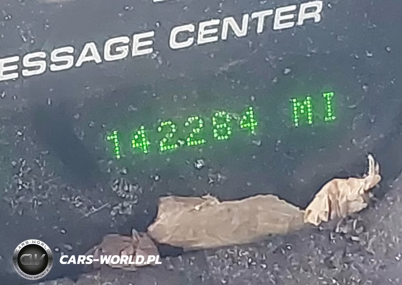 2004 Ford Expedition Eddie Bauer VIN:1FMFU17L54LB16363 - 18