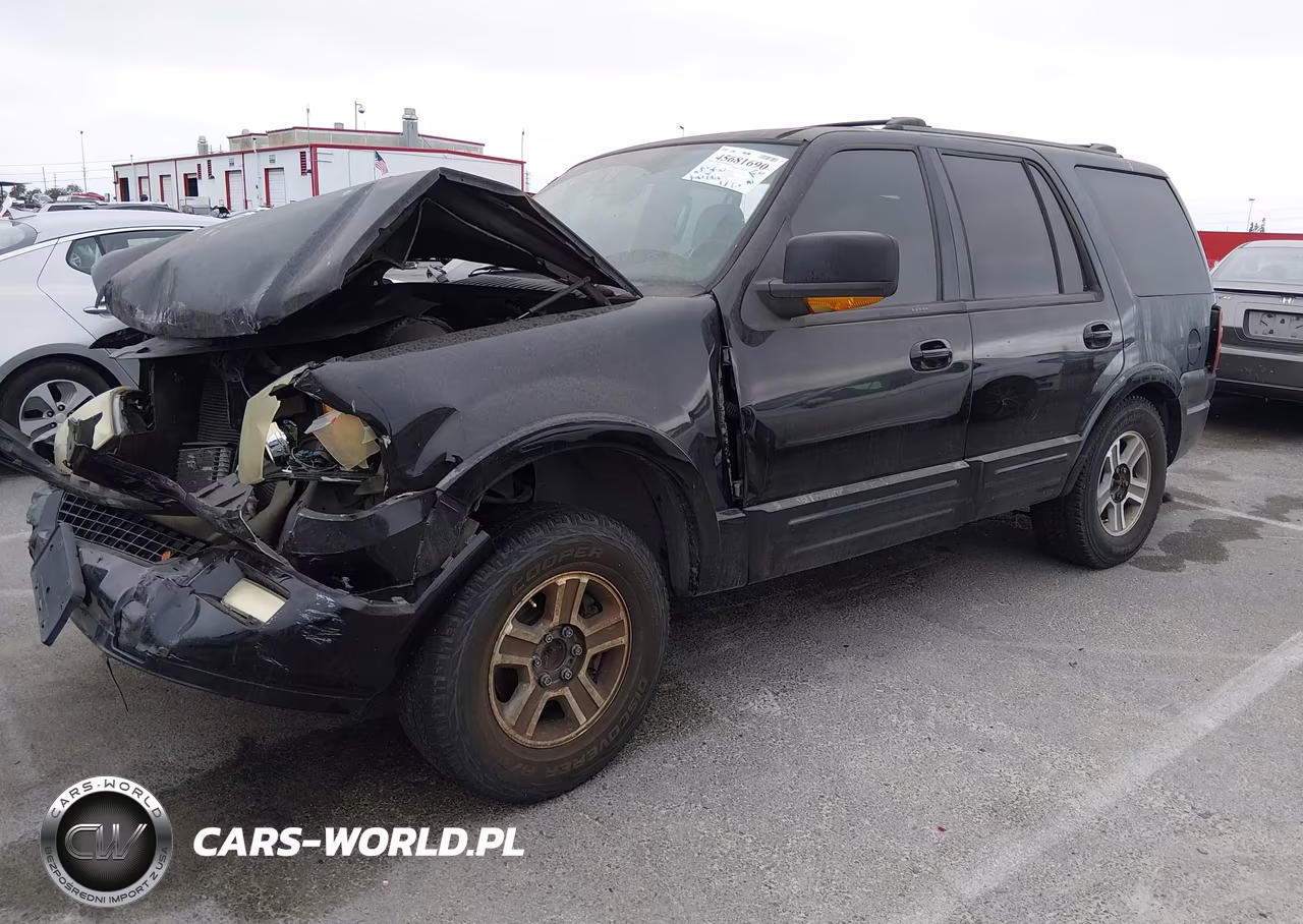 2004 Ford Expedition Eddie Bauer VIN:1FMFU17L54LB16363 - 2