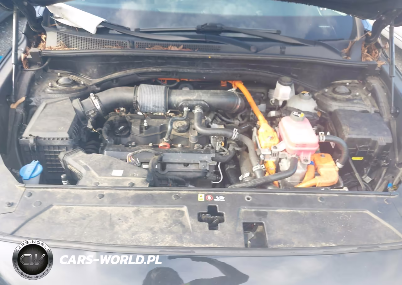2021 Hyundai Santa Fe Hybrid Sel Premium VIN:KM8S3DA11MU008875 - 10