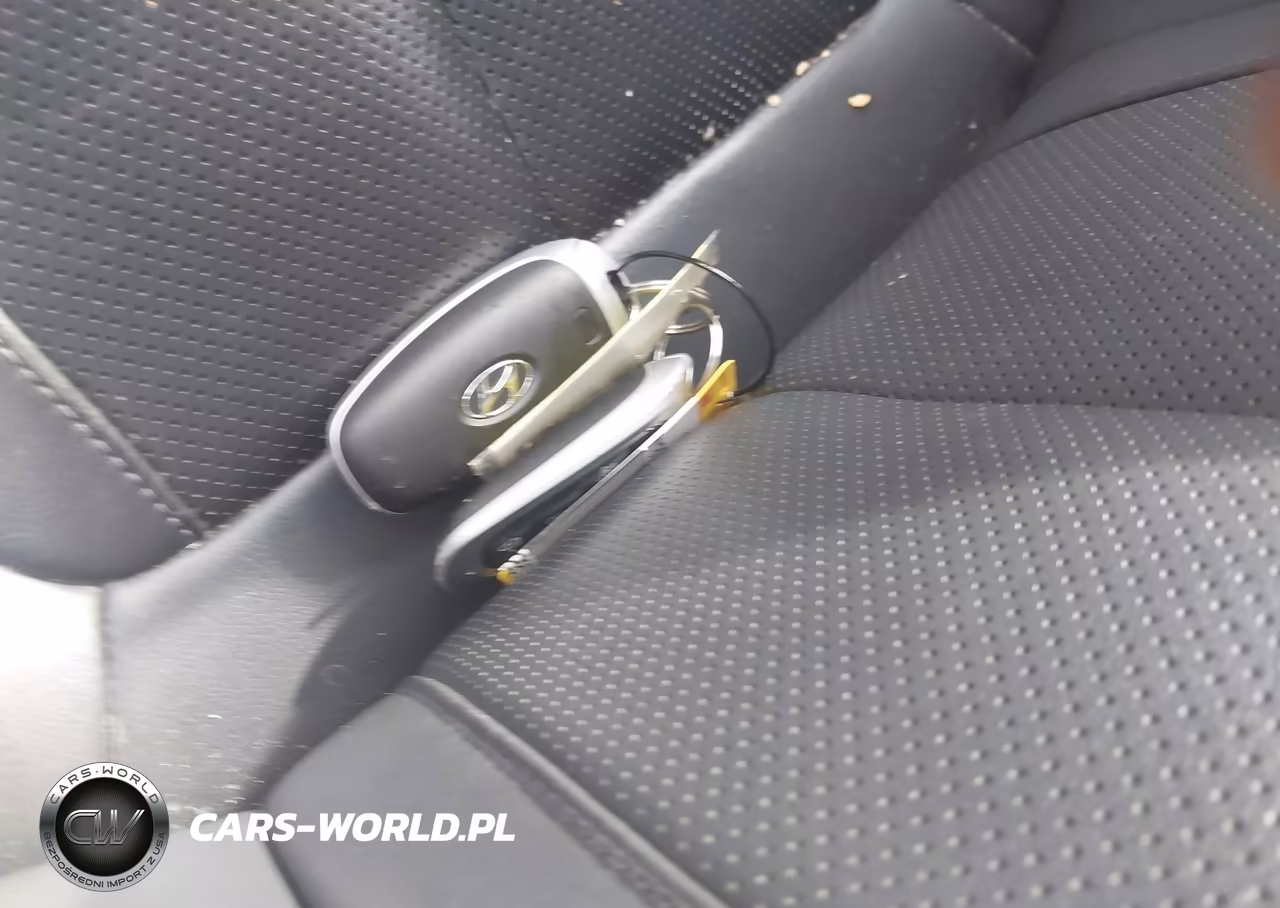 2021 Hyundai Santa Fe Hybrid Sel Premium VIN:KM8S3DA11MU008875 - 11