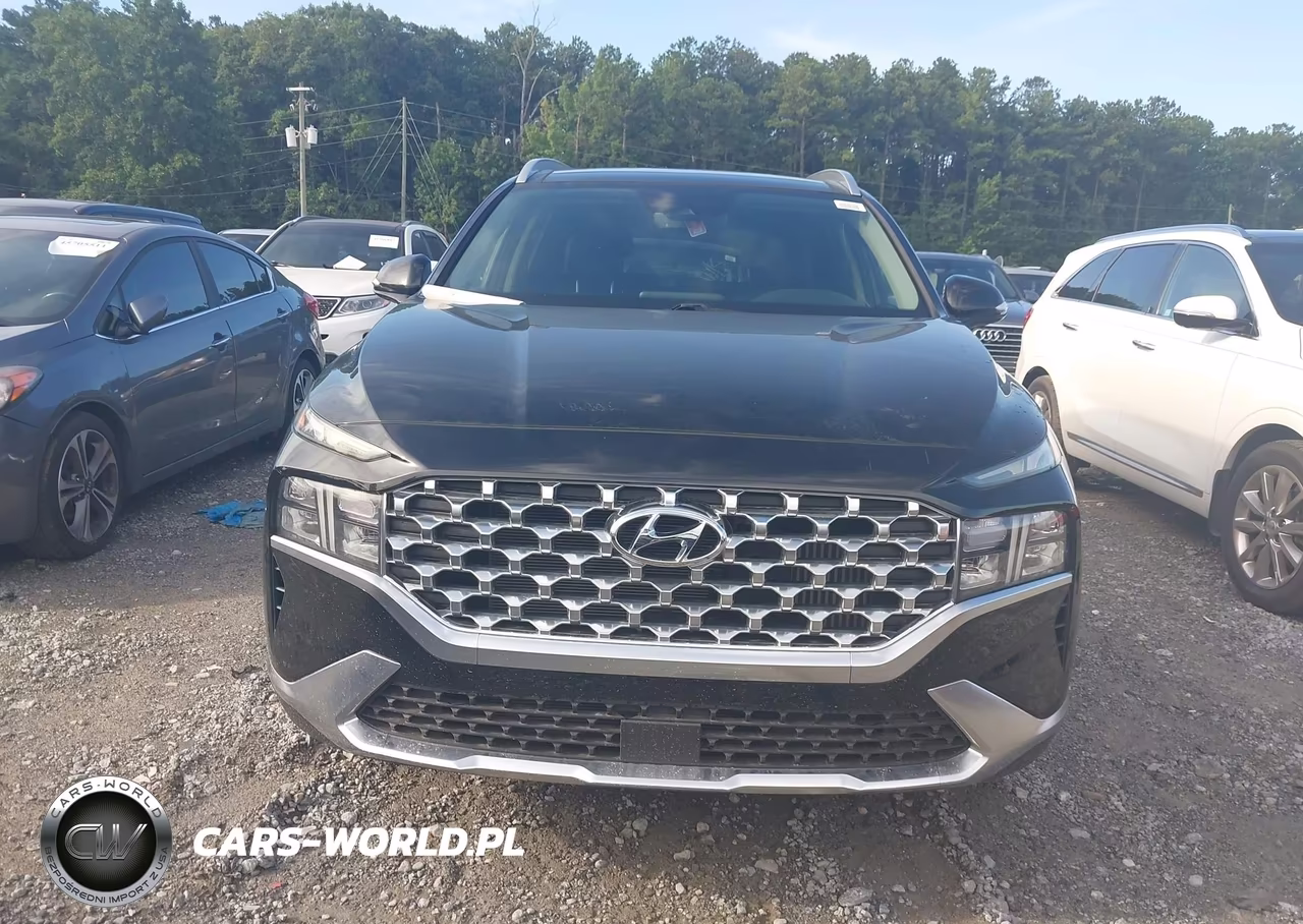 2021 Hyundai Santa Fe Hybrid Sel Premium VIN:KM8S3DA11MU008875 - 12