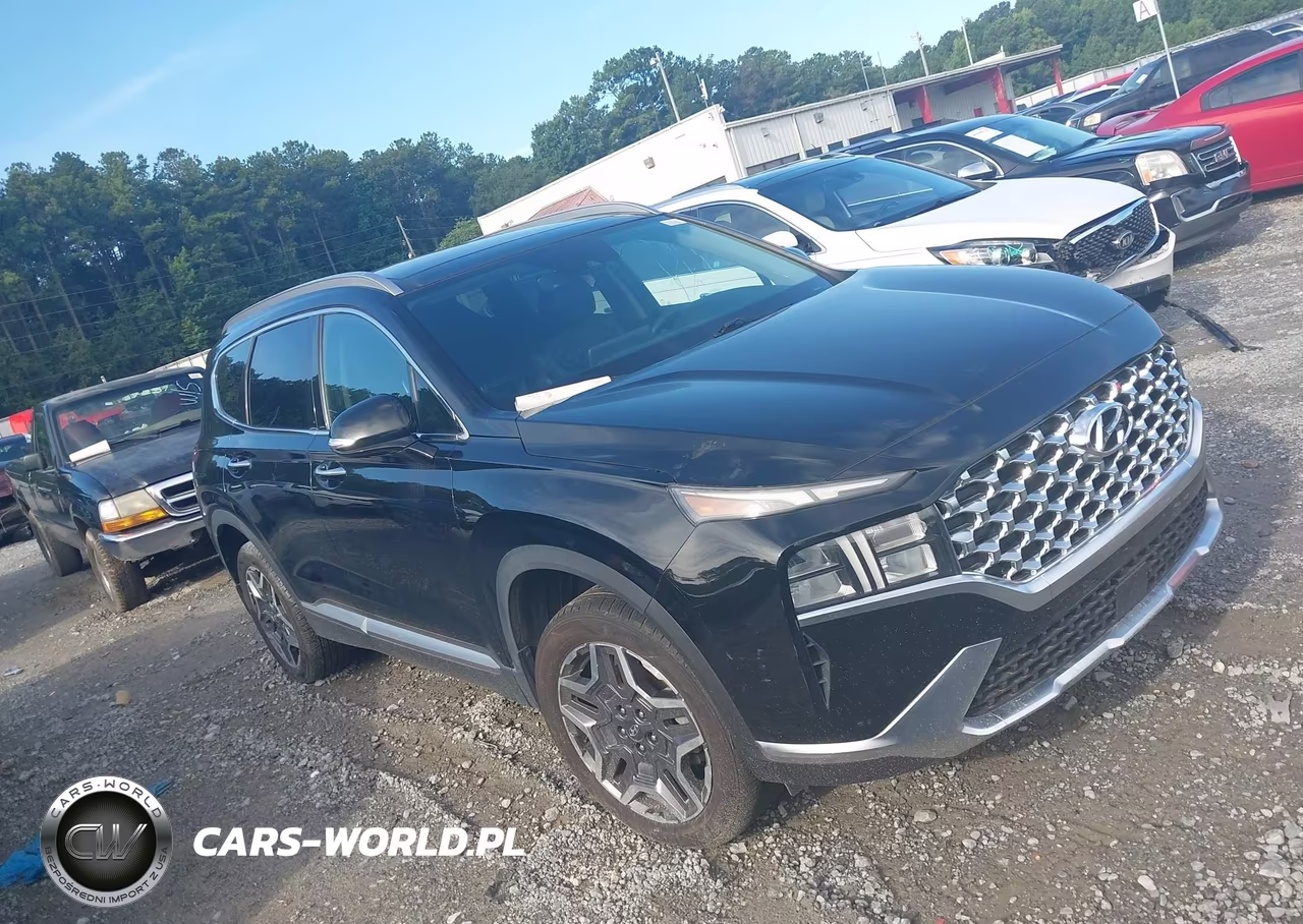 2021 Hyundai Santa Fe Hybrid Sel Premium VIN:KM8S3DA11MU008875 - 13