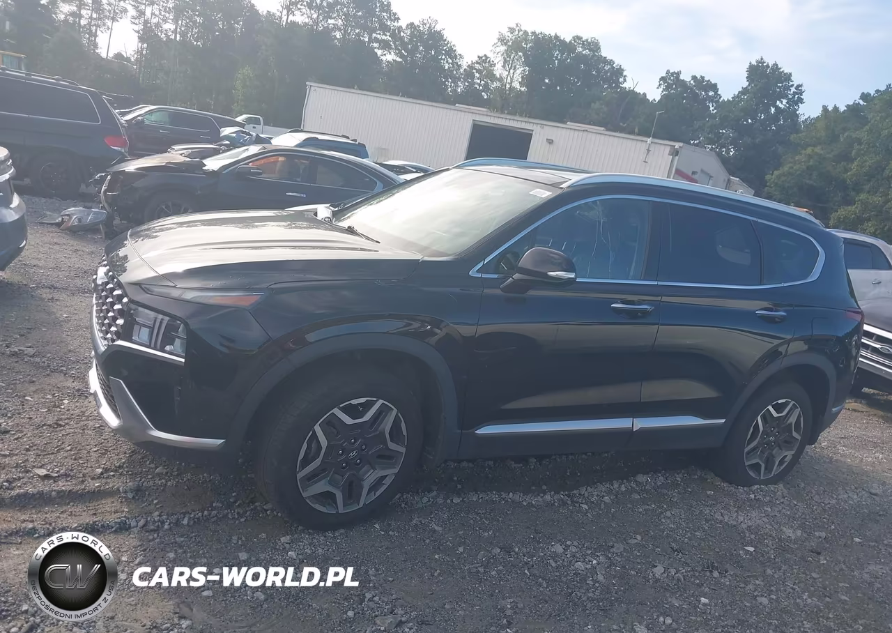 2021 Hyundai Santa Fe Hybrid Sel Premium VIN:KM8S3DA11MU008875 - 14