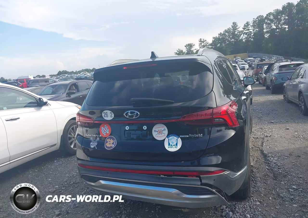 2021 Hyundai Santa Fe Hybrid Sel Premium VIN:KM8S3DA11MU008875 - 16