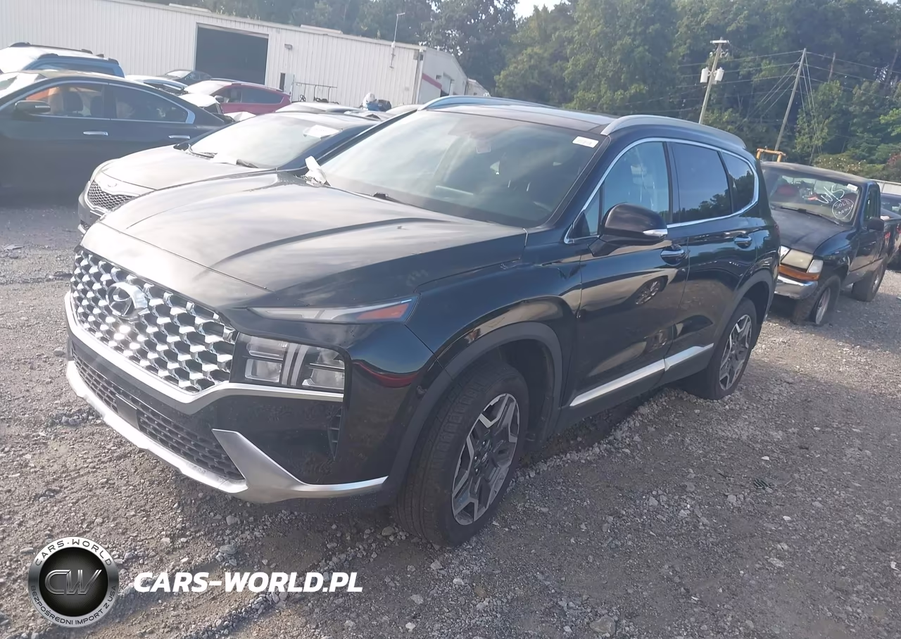 2021 Hyundai Santa Fe Hybrid Sel Premium VIN:KM8S3DA11MU008875 - 2