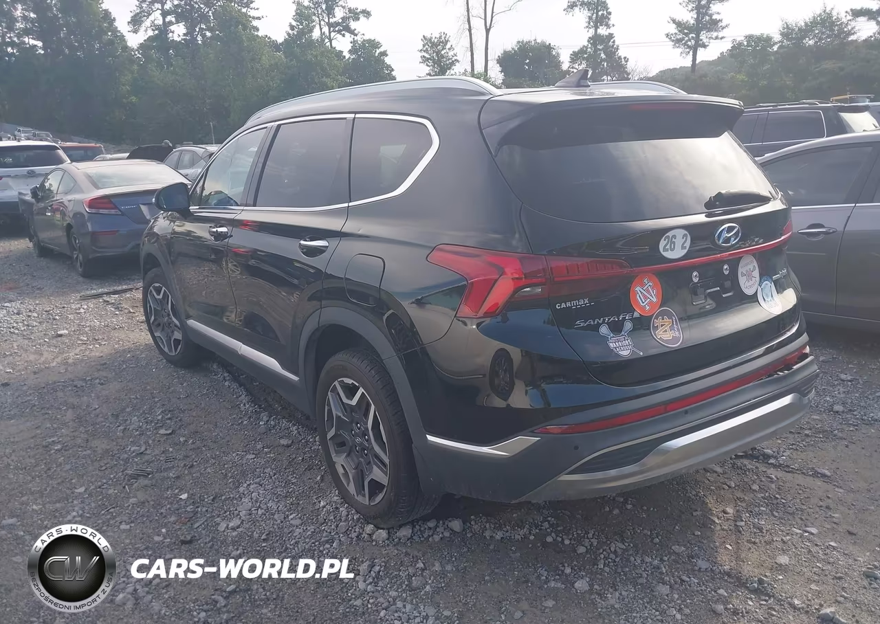 2021 Hyundai Santa Fe Hybrid Sel Premium VIN:KM8S3DA11MU008875 - 3
