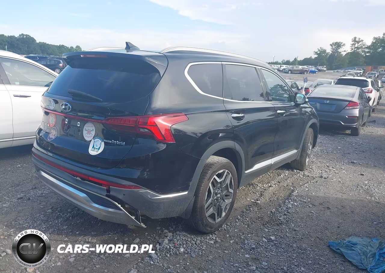 2021 Hyundai Santa Fe Hybrid Sel Premium VIN:KM8S3DA11MU008875 - 4