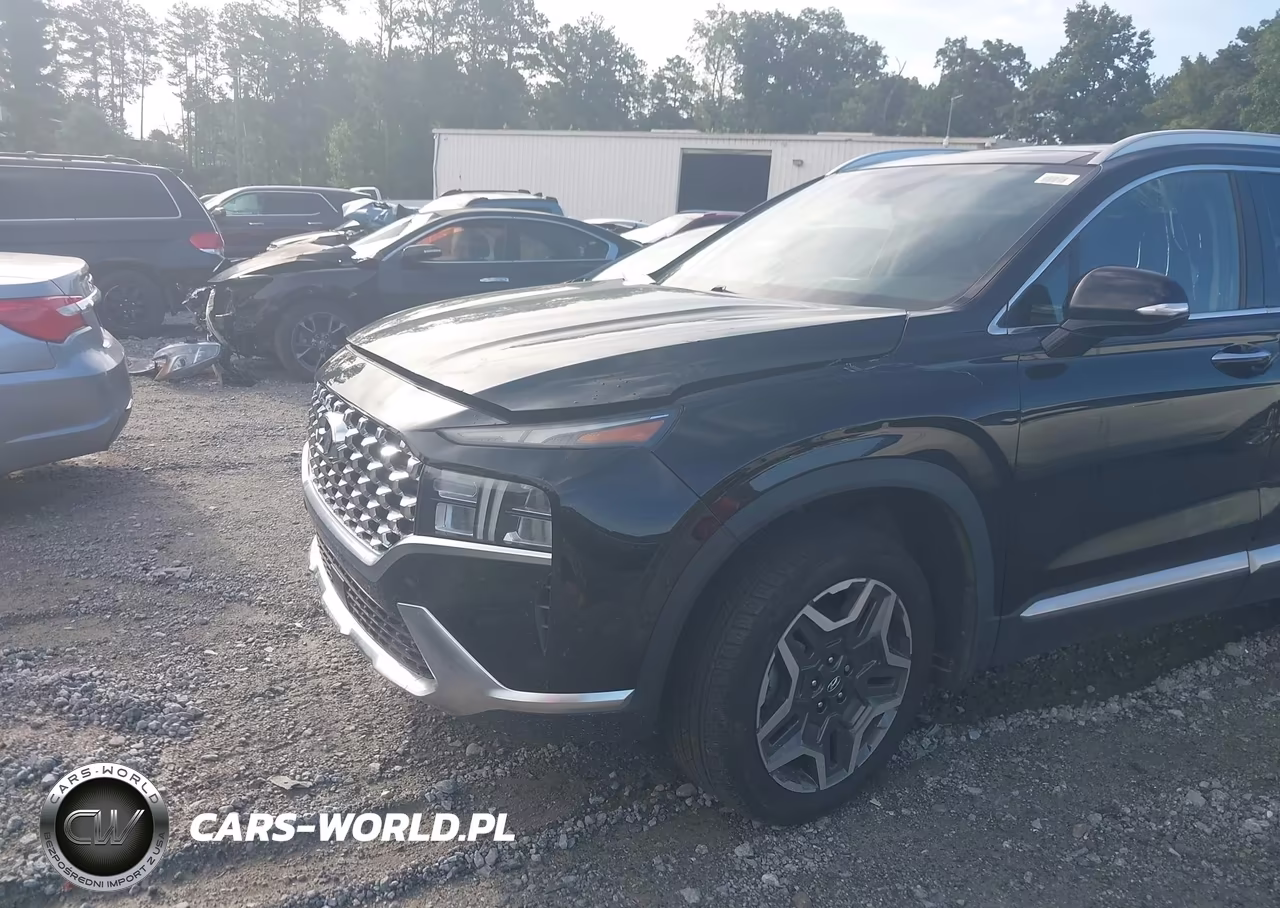 2021 Hyundai Santa Fe Hybrid Sel Premium VIN:KM8S3DA11MU008875 - 6